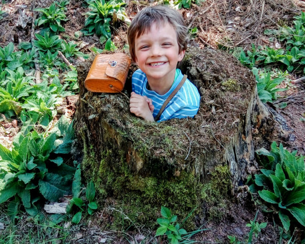 Angebote für Kindergärten