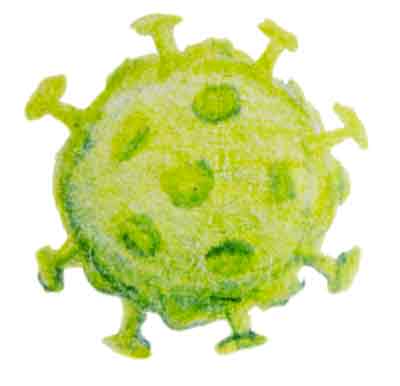 Newsletter_Virus